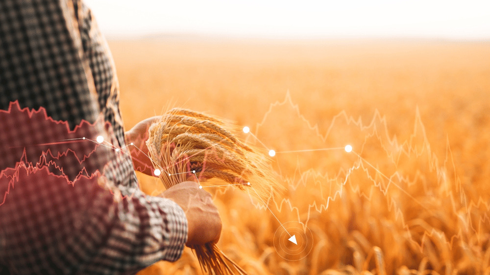 Sezónnosť trhov – skvelá stratégia filtrovania