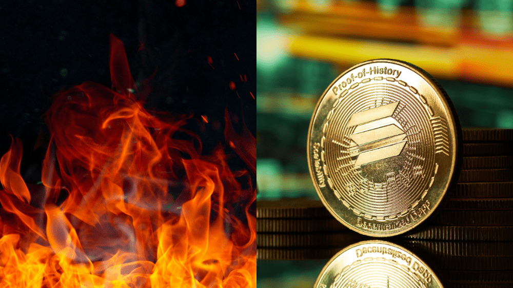 Šialenstvo v priamom prenose: Na streame o meme coine sa zapálil človek