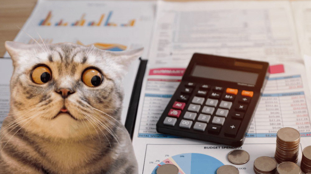 Daň za grganie kráv či za meno vlastného dieťaťa. Aké najbizarnejšie dane platia vo svete?