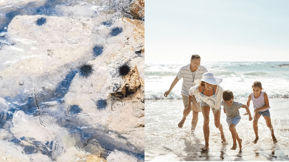 Životné a cestovné poistenia nie sú to isté. Na toto dávajte na dovolenke pozor