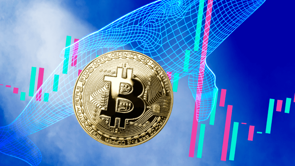 Zvrat na kryptomenovom trhu? Veľrybám dochádza Bitcoin, nemajú čo predávať