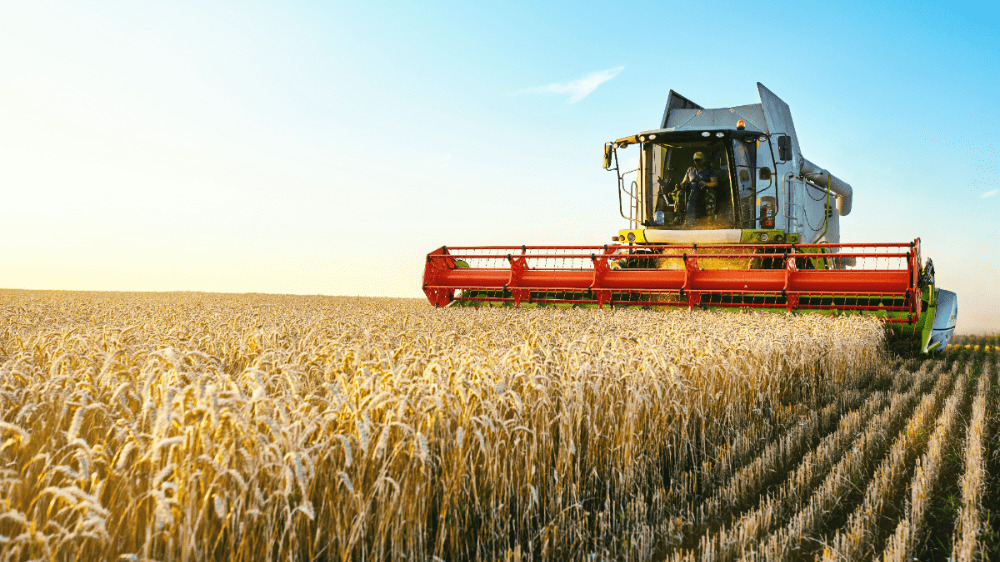 Veľký hráč v poľnohospodárskom biznise oznámil masové prepúšťanie. Výrobu presúva za hranice