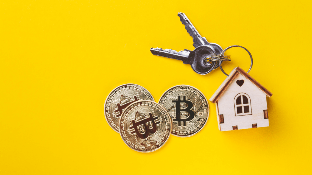 Prieskum: Kryptomeny ako investícia predbehli akcie aj nehnuteľnosti