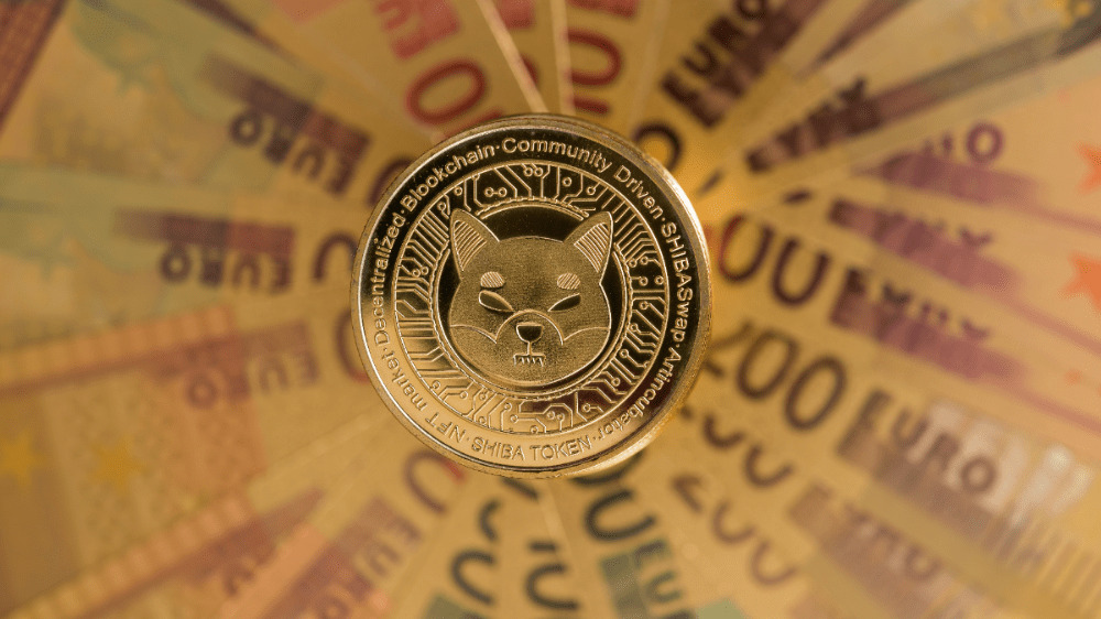 Zo dňa na deň milionármi: Bratia zo žartu investovali do kryptomeny, ktorá im zmenila život