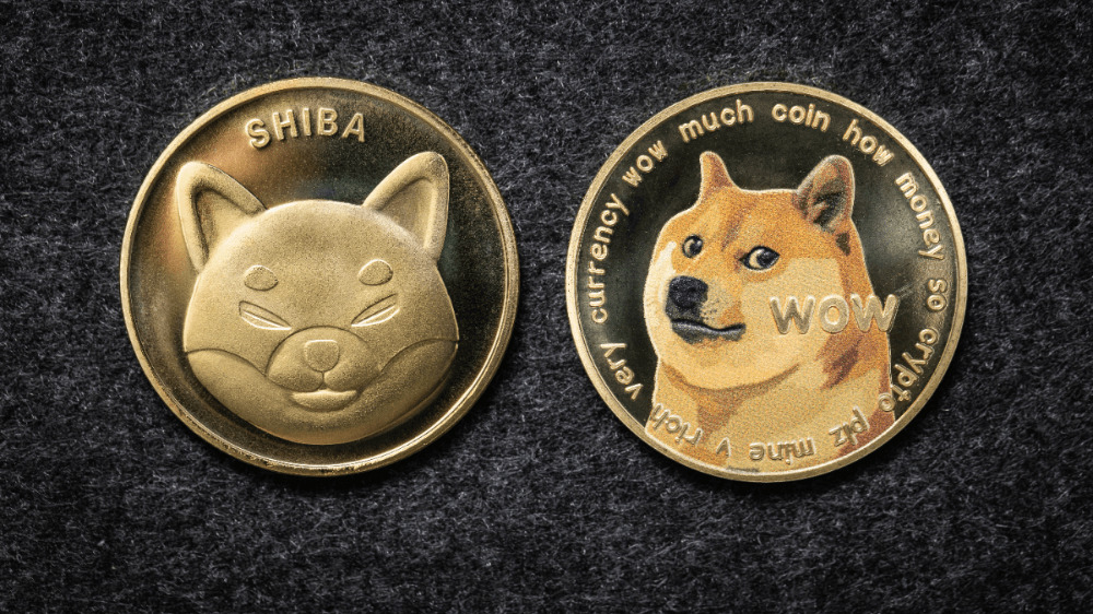 Memecoiny trpia. Stratili 20 miliárd dolárov