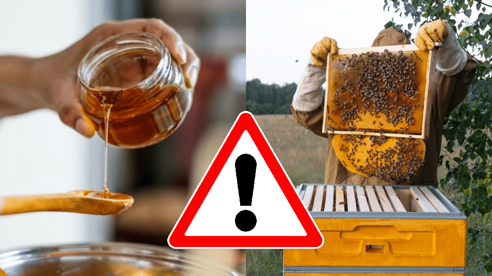 Severné Slovensko trápi mor včiel. Na stole je niekoľko prísnych opatrení