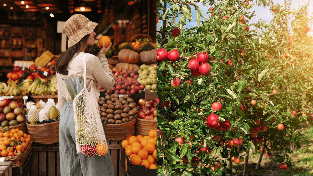 Úroda ovocia na Slovensku je ukážková. Znamená to pokles cien?