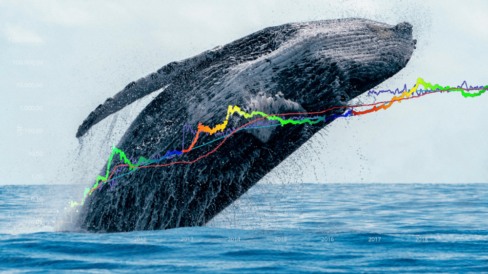 Pre kryptomenové veľryby sú zaujímavé tieto projekty