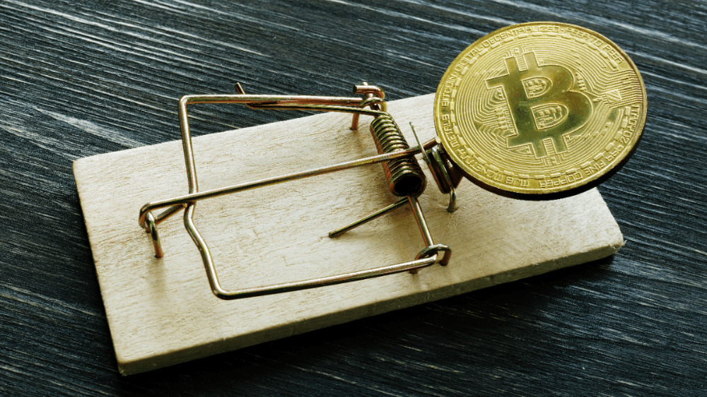 Kryptomeny celebrít sú z veľkej časti podvod, tvrdí štúdia