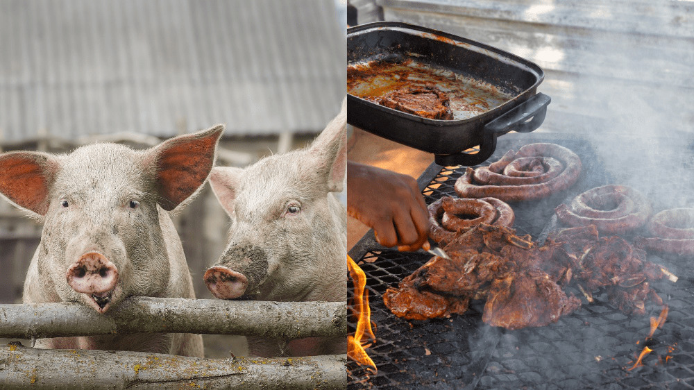 Koniec slovenských zabíjačiek? Stanovisko veterinárov hovorí jasne