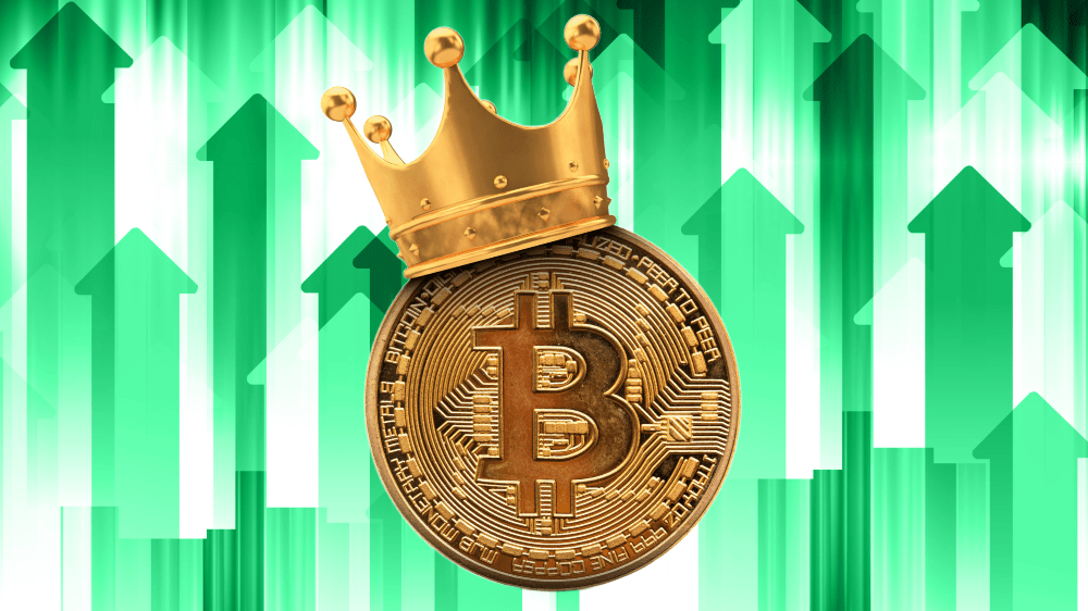 Neveriaci zostali ticho. Bitcoin (BTC) má za sebou 3 000 000 % rast