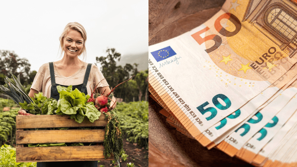 Pokuty vo výške tisícov eur za chybu, ktorú robíte denne. Na toto si dávajte pozor