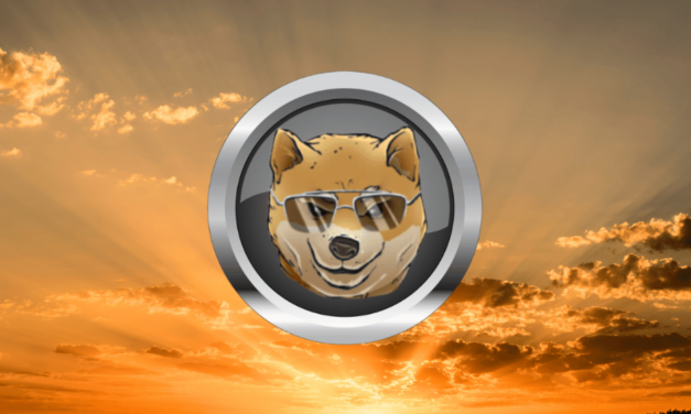 Táto meme kryptomena môže ešte poriadne prekvapiť. Jej predpredaj už beží