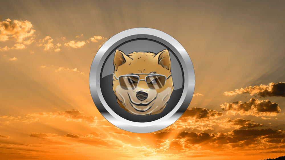 Táto meme kryptomena môže ešte poriadne prekvapiť. Jej predpredaj už beží