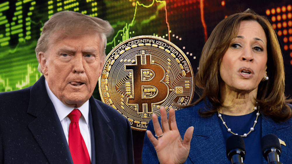 Investori vo vytržení: Ako voľby v USA ovplyvnia kryptomeny?