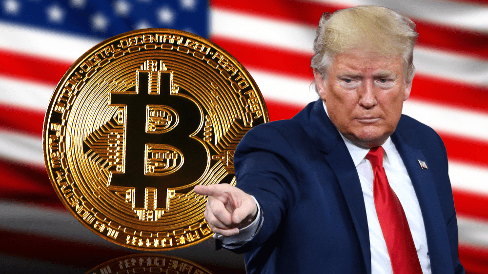 Novinky zo sveta kryptomien: Voľby v USA, cena BTC stúpa, zníženie sadzieb