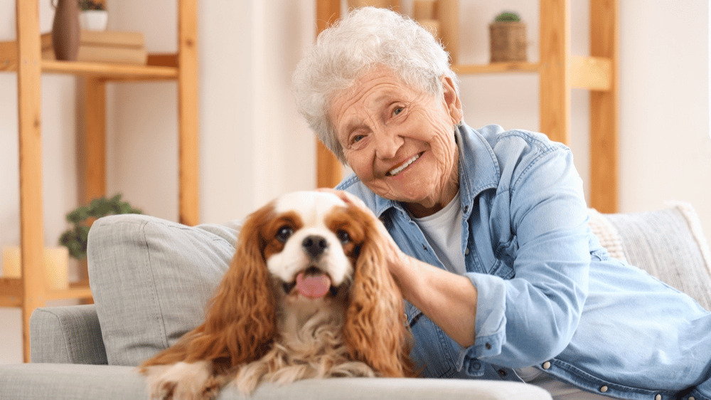 Čaká dôchodky veľká reforma? Táto skupina Slovákov si môže prilepšiť