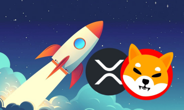 Vybrať si SHIB alebo XRP? Všímajte si aj tento altcoin, skrýva v sebe obrovský potenciál