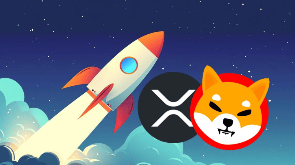 Vybrať si SHIB alebo XRP? Všímajte si aj tento altcoin, skrýva v sebe obrovský potenciál