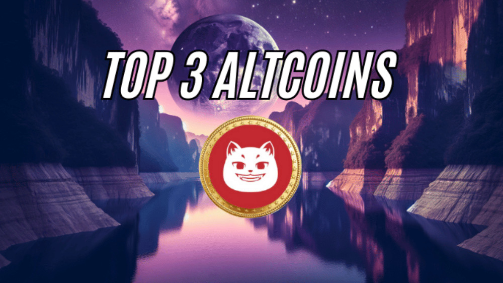 Tieto 3 altcoiny sa oplatí sledovať. Prečo medzi ne patrí aj novinka Catzilla?