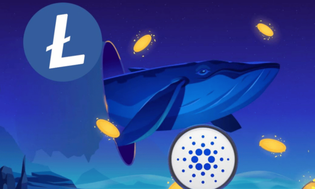 Veľkí investori poznajú toto tajomstvo. Objavte, prečo je teraz ich top investíciou Cardano a Litecoin