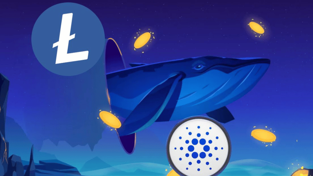 Veľkí investori poznajú toto tajomstvo. Objavte, prečo je teraz ich top investíciou Cardano a Litecoin