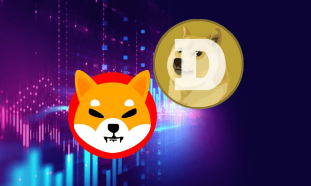 Nový kráľ memecoinov spája šport a kryptobohatstvo