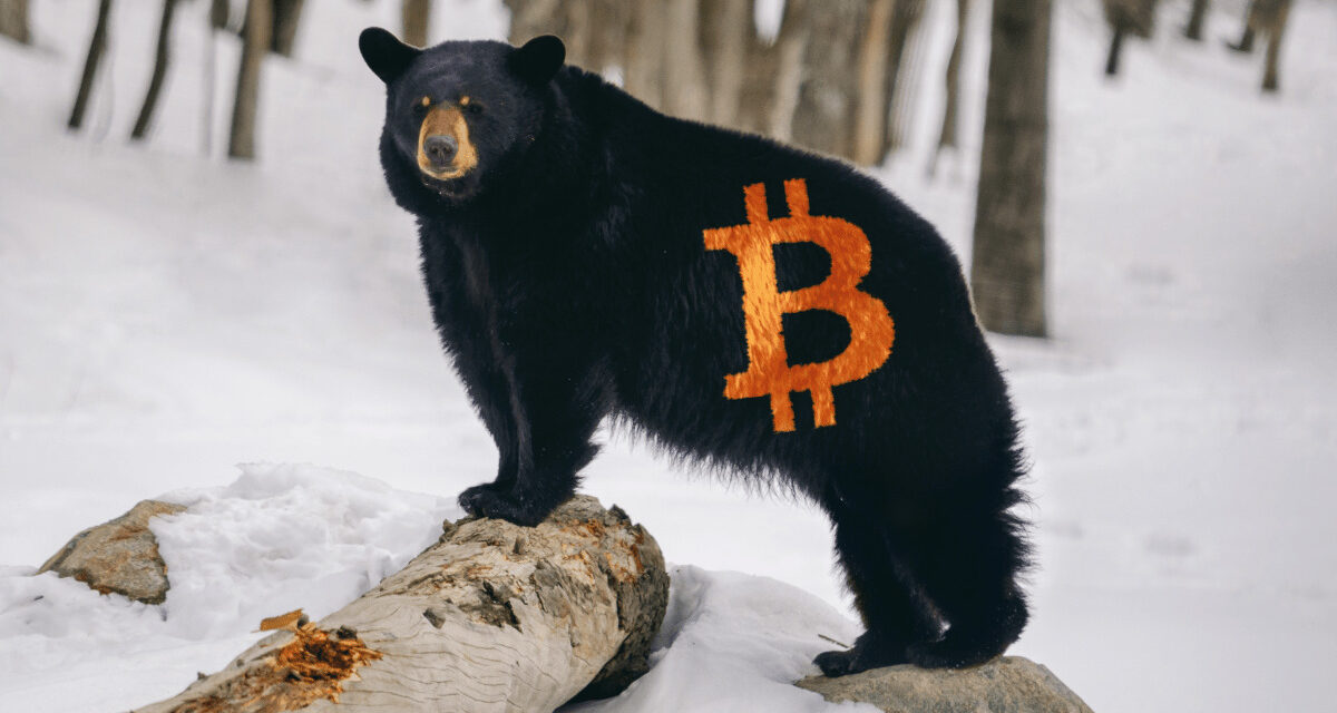 Expert hlási zlomový bod: Bitcoin vstupuje do druhej fázy cyklu