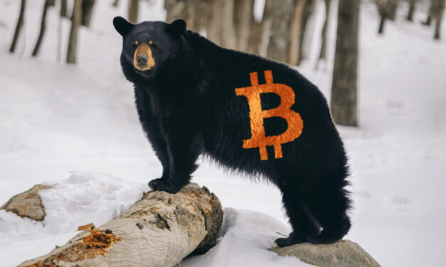Expert hlási zlomový bod: Bitcoin vstupuje do druhej fázy cyklu