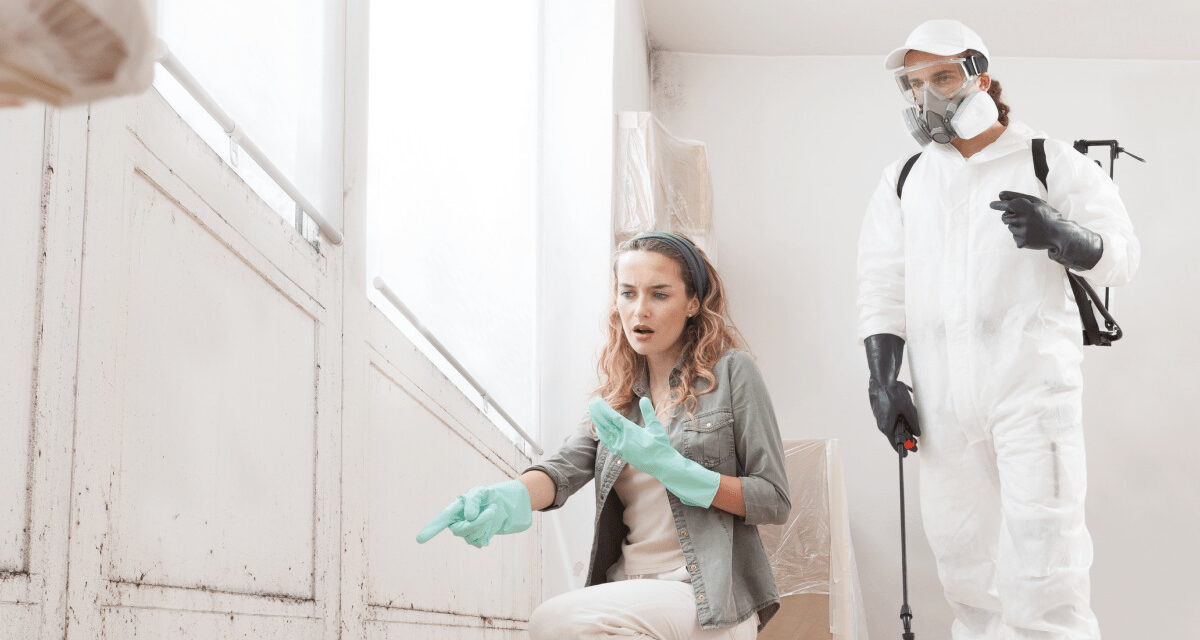 Pleseň nie je „len škvrna“: Odborníci hovoria o zdravotnom riziku