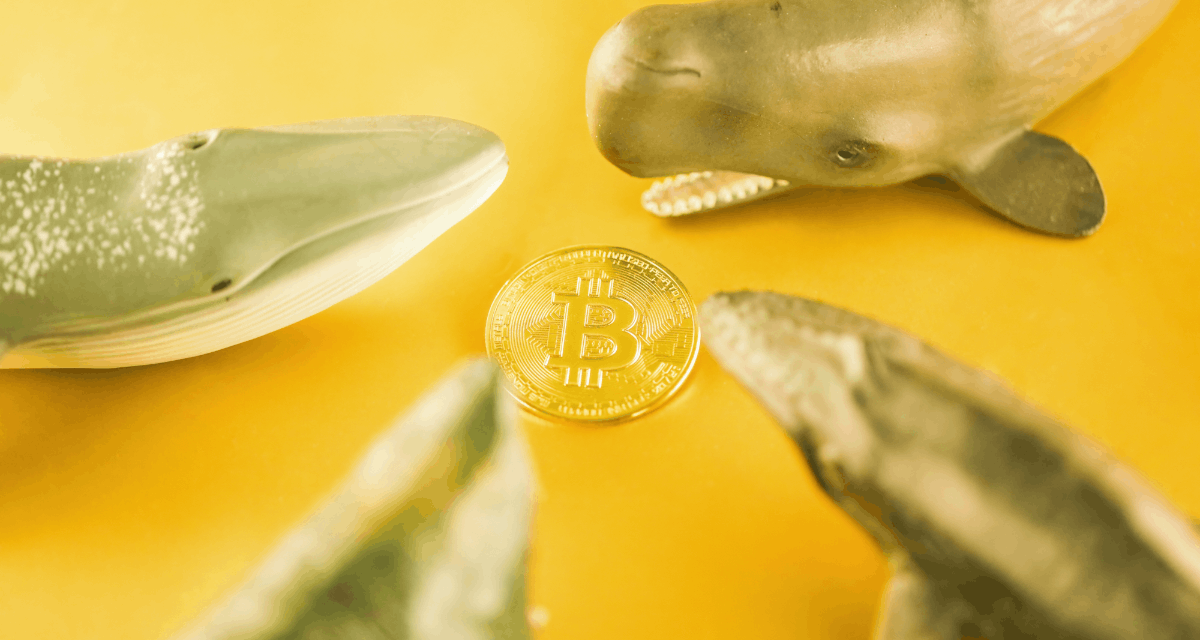 Rekordný rok krypta začína: Veľké banky čakajú s miliardami