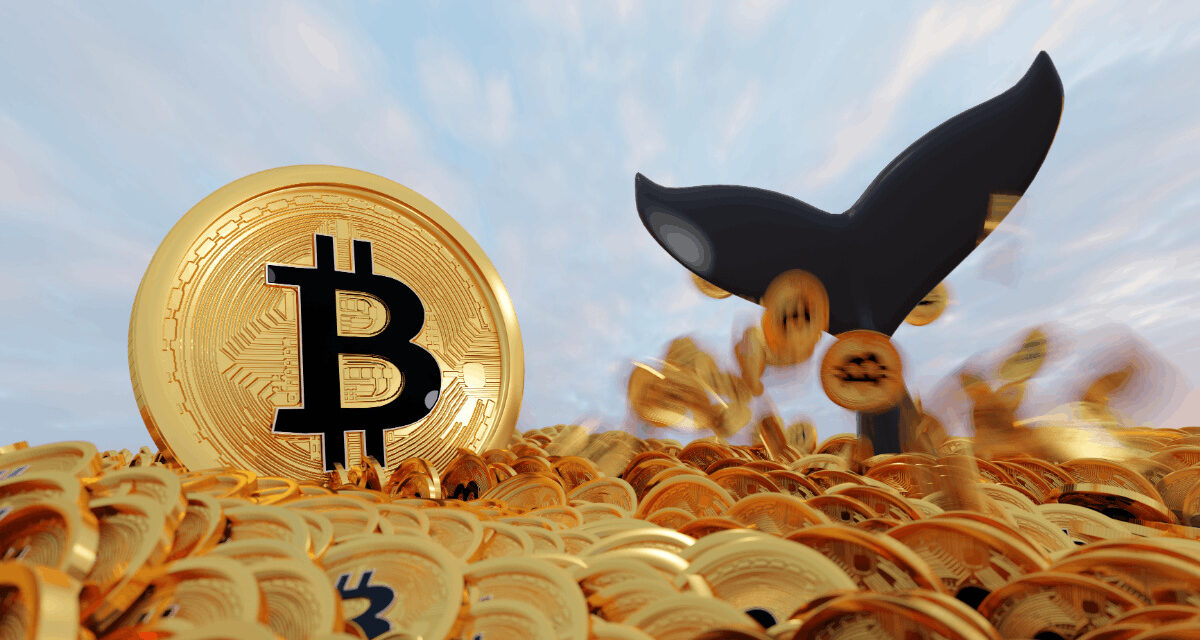 Kryptomiliardári majú jasno: „Kým vy predávate v panike, my Bitcoin nakupujeme“