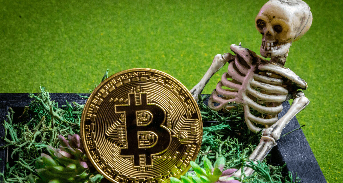 Od boomu k pádu: Bitcoin má spustiť „špirálu smrti“ pre tieto aktíva