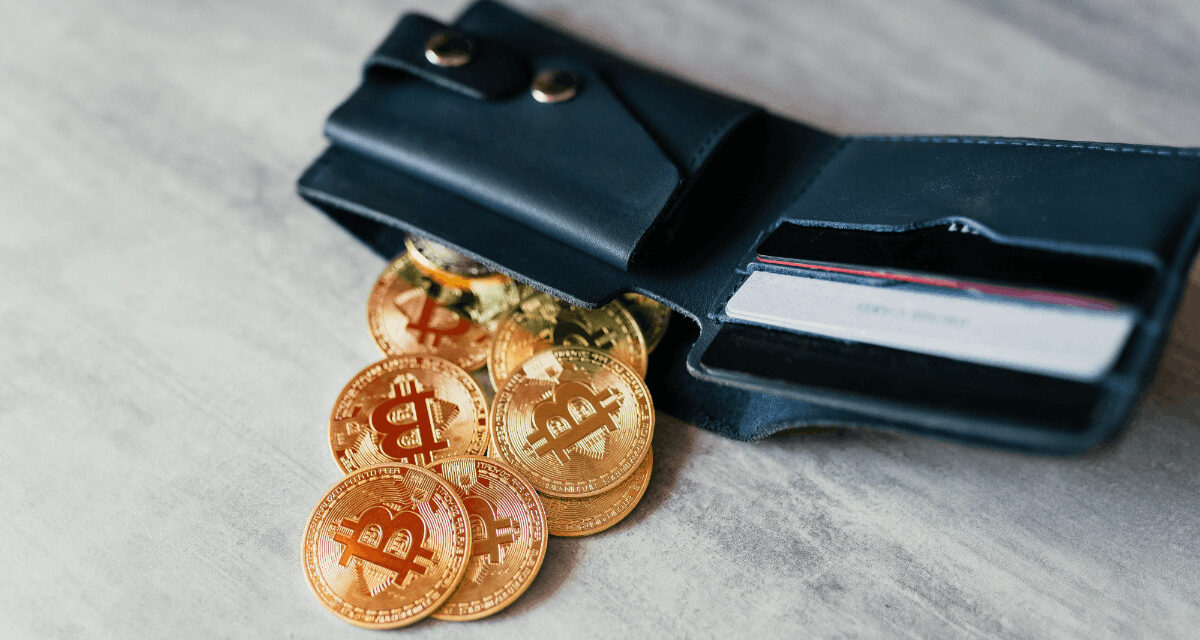 Nová peňaženka predstavuje biometrické skenovanie žíl, no Best Wallet stále víťazí v oblasti bezpečnosti a používateľskej praxe