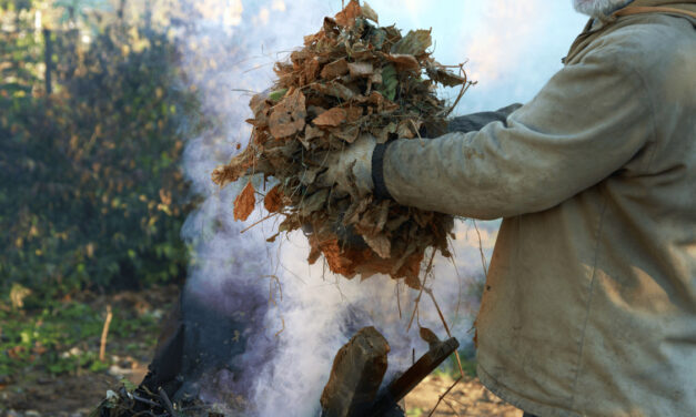 Pálenie odpadu nie je nevinné. Hrozí požiar, krátenie poistky aj pokuta