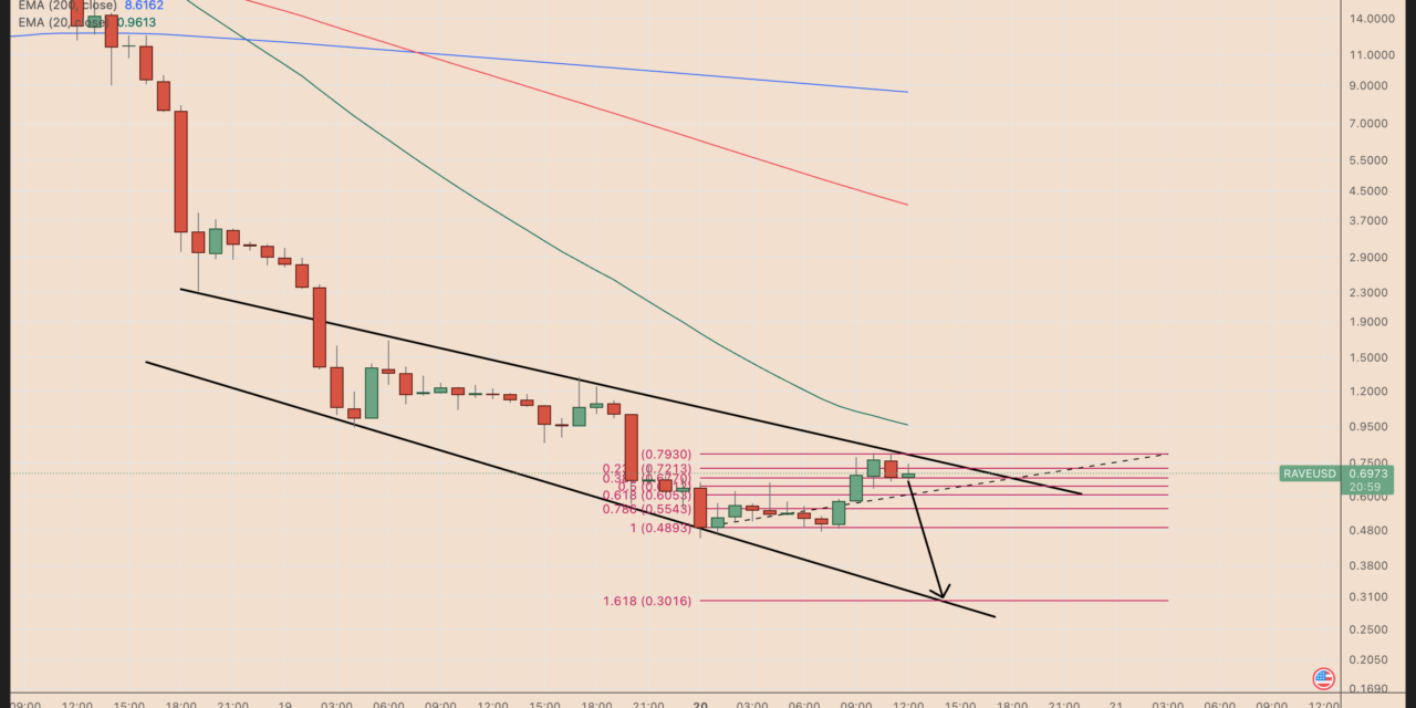 RaveDAO's RAVE token risks another 50% crash amid price manipulation claims