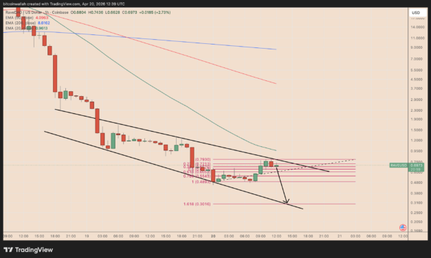RaveDAO's RAVE token risks another 50% crash amid price manipulation claims