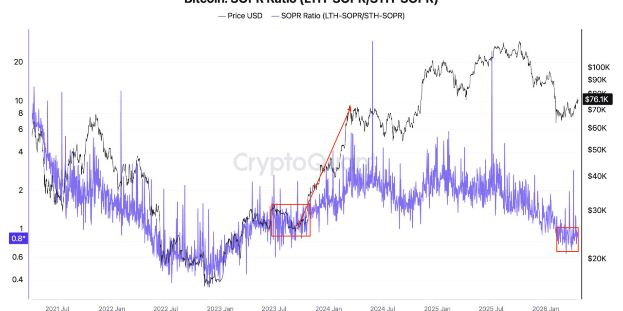 Bitcoin price rally 'in progress' but upside could be capped at $84K