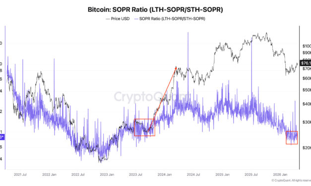 Bitcoin price rally 'in progress' but upside could be capped at $84K