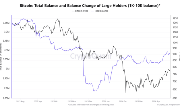 Bitcoin whale holdings hit five-month high: Is BTC headed to $80K next?