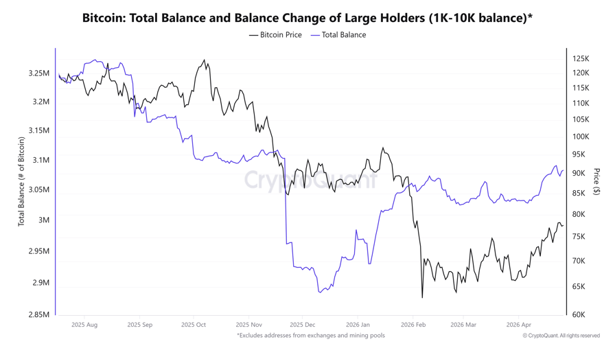 Bitcoin whale holdings hit five-month high: Is BTC headed to $80K next?