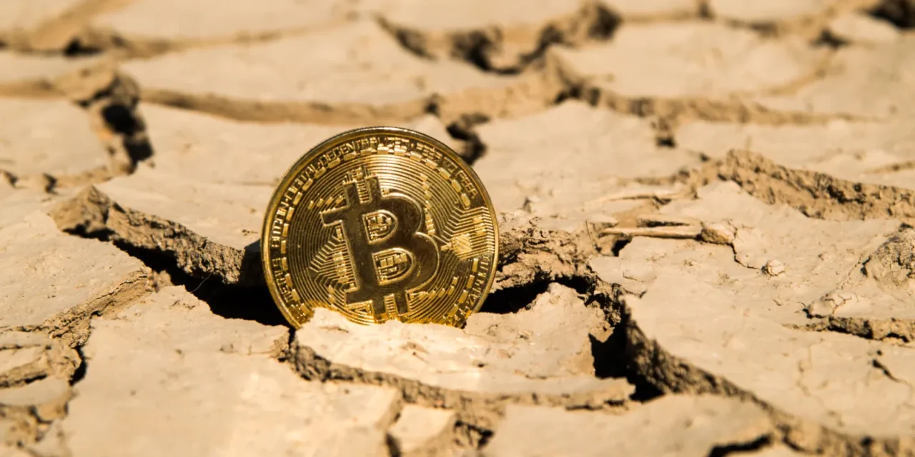 Bitcoin hlási ústup predajcov: Index rizika naznačuje príchod dna