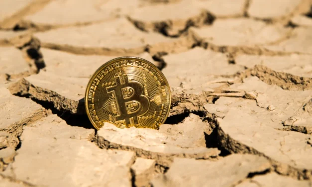 Bitcoin hlási ústup predajcov: Index rizika naznačuje príchod dna