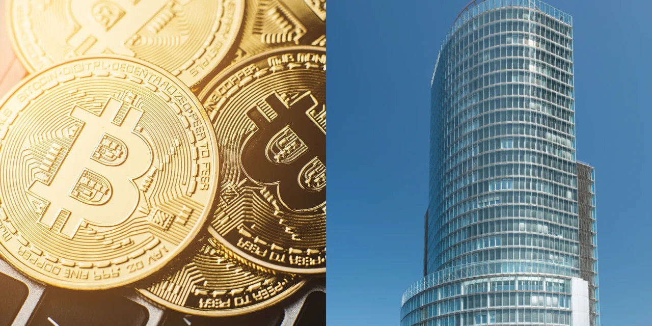 NBS na Slovensku odhalila nelegálne kryptoplatformy: Týmto firmám by ste nemali zveriť svoje peniaze