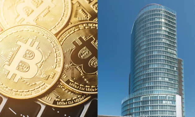 NBS na Slovensku odhalila nelegálne kryptoplatformy: Týmto firmám by ste nemali zveriť svoje peniaze