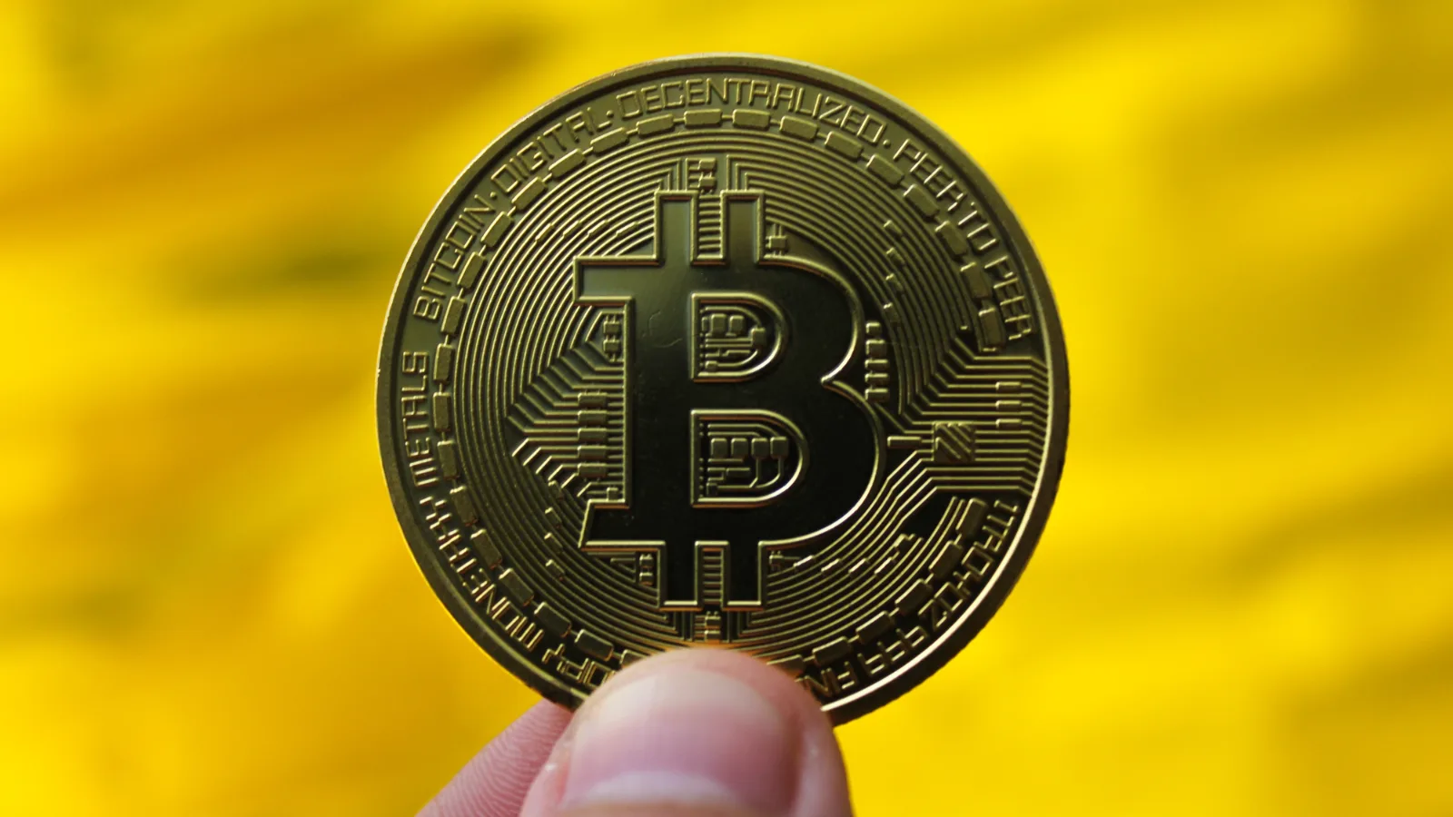 Bitcoin dominuje napriek vysokému počtu kryptomien