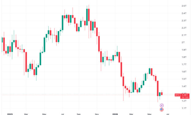 Bitcoin market cap rebound to take '5-10 years' after dropping 10 places since mid-2025