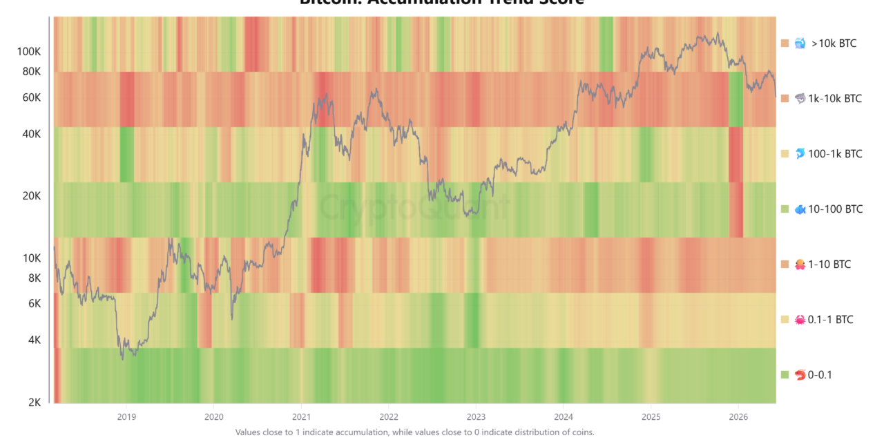'Best thesis' for Bitcoin accumulation surfaces despite current downside risk: Analyst