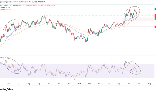 HYPE down 22% from record highs: Will spot demand revive the uptrend?