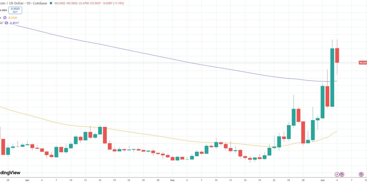 Worldcoin is an overlooked bet on the AI IPO wave: Maelstrom
